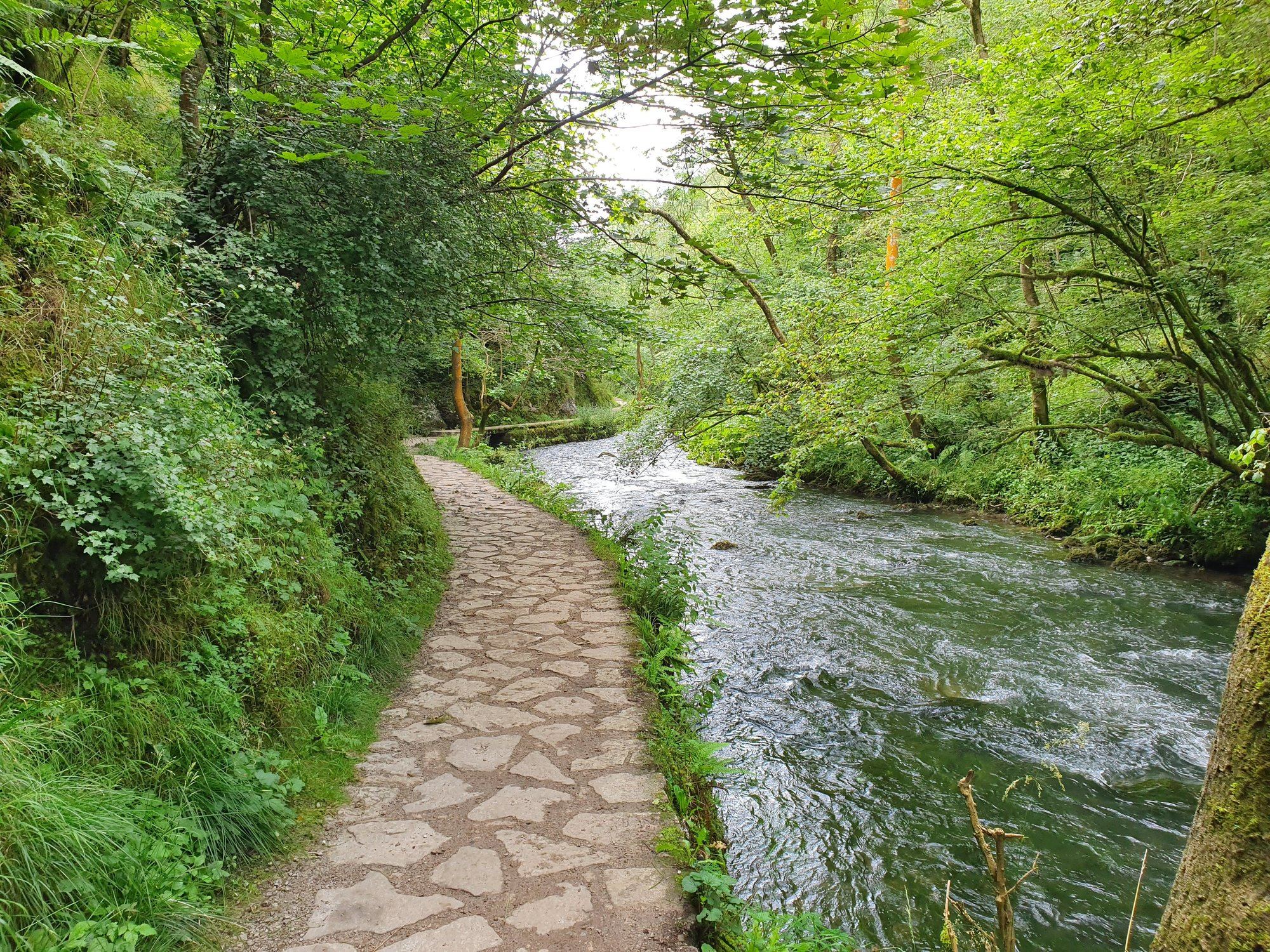 A stone path along a river through woodland, Dovedale