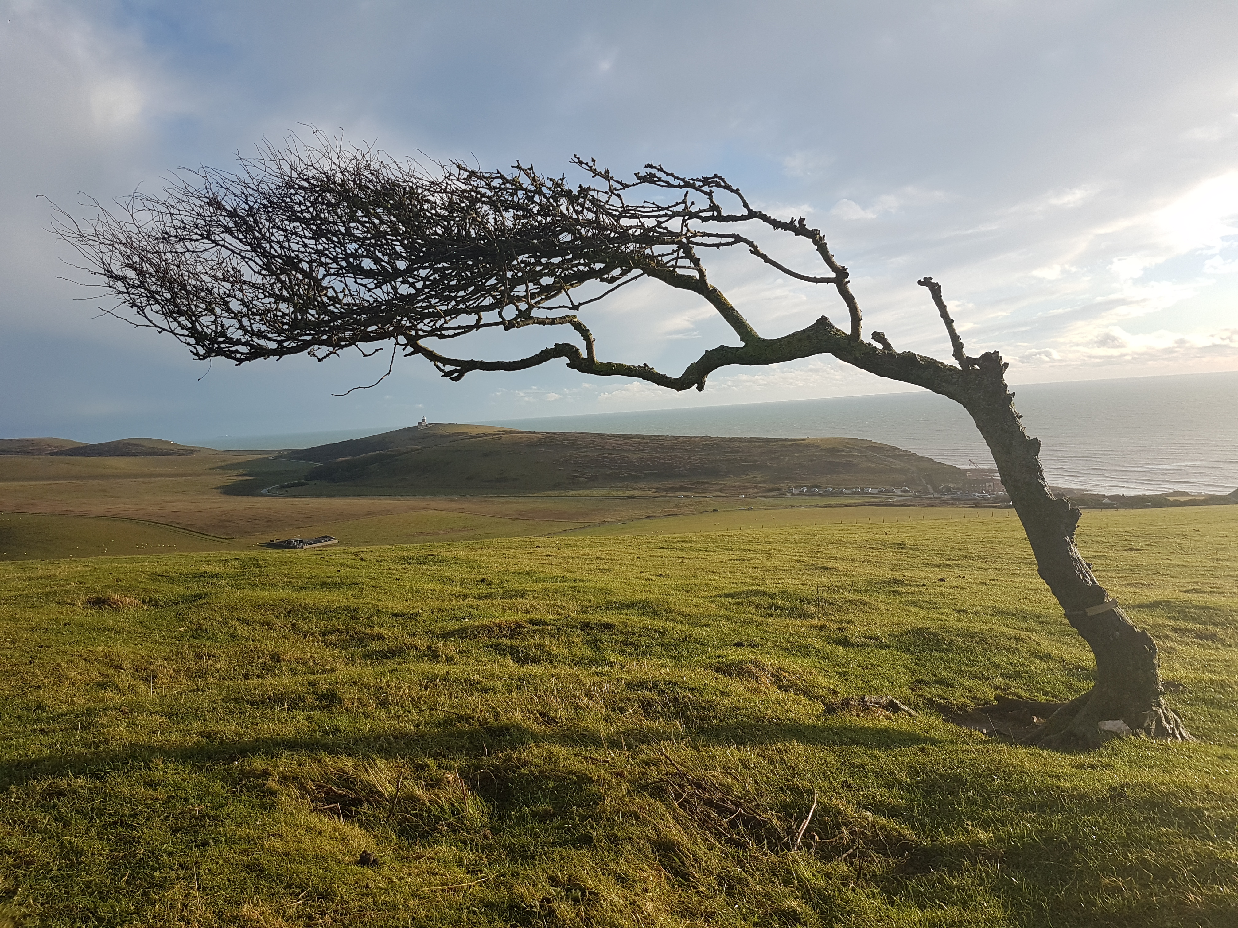 Open landscape